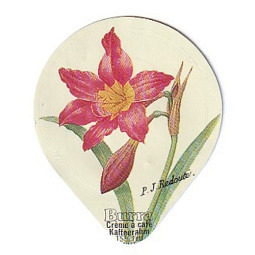 412 EE - Blumen und Früchte /SP