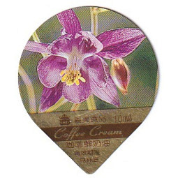 Taiwan 10 - Blumen III