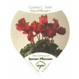 Wyss Blumen /04