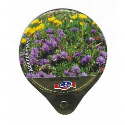A-73 A - Wildblumen