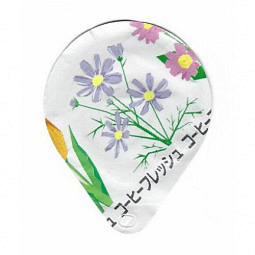Japan - Blumen gezeichnet /B