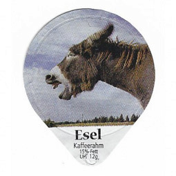 882 A - Esel