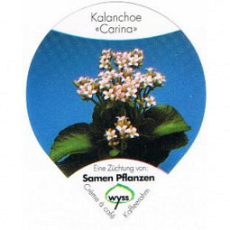 Wyss Blumen /03