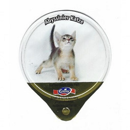 A-81 A - Hauskatzen