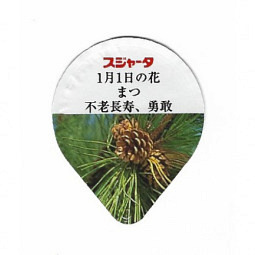 Japan - Jahresblumen I