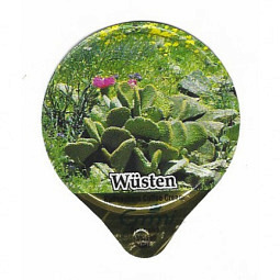 A-53 A - Wuesten
