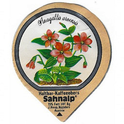A-03 A - Wald & Wiesenblumen