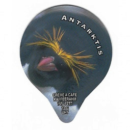PS 05/96 C - Antarktis /G