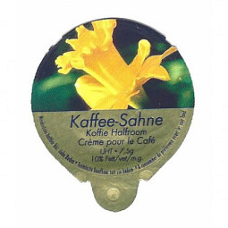 D-94 A - Frühlingsblumen /G