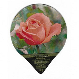 D-39 A - Rosen 3 /G