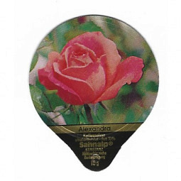 D-39 C - Rosen 3