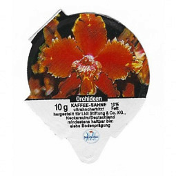 D-81 B - Orchideen 2