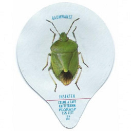 775  Insekten /G