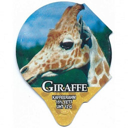 7.249  Giraffe /R