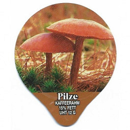 1.308 A - Pilze II