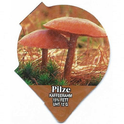 1.308 B - Pilze II /R
