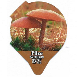 1.308 C - Pilze II /R